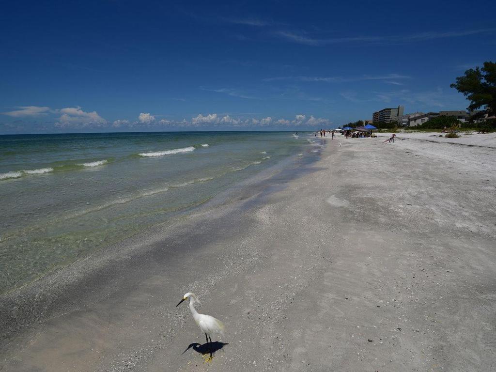 Gulf Retreat 2: Magnificent Water Views, Steps To Beach, None Cleaner, None Nicer! Clearwater Beach Ngoại thất bức ảnh